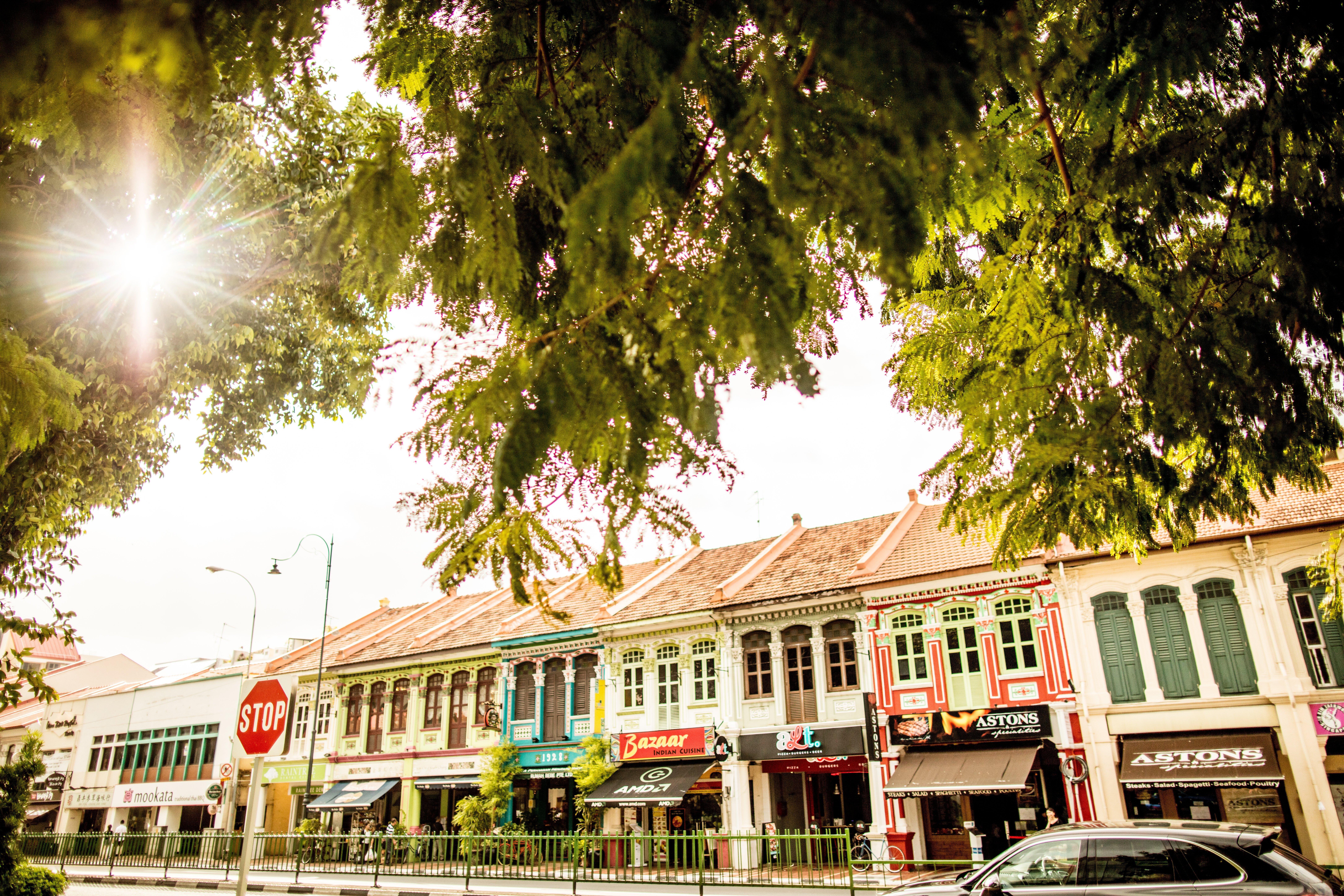 โรงแรมอินดิโก สิงคโปร์ กาตง ภายนอก รูปภาพ Shophouses in Kampong Glam